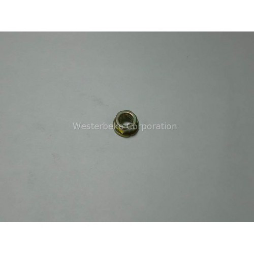 Order WESTERBEKE 36211 Nut M 6 Jis-Flange