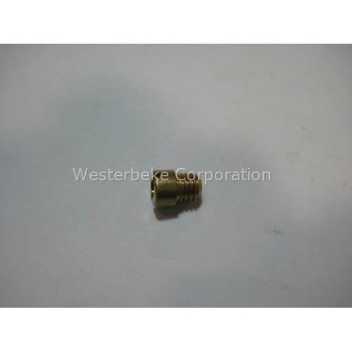 Order WESTERBEKE 36402 Jet, Carburetor 120