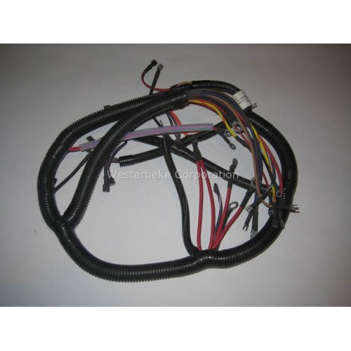 Order WESTERBEKE 43893 Harness, Genset 8-11.0 Btd