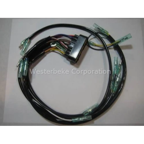 Order WESTERBEKE 48160 Harness, Ignition Module 3 Bpmg