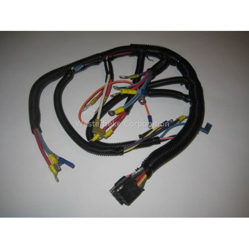 Order WESTERBEKE 36569 Harness, Marine W13A/12B Two