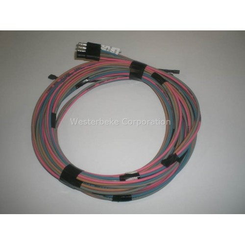 Order WESTERBEKE 36626 Harness, Panel 36473 4 Pin