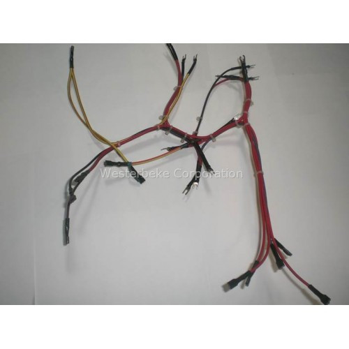 Order WESTERBEKE 37159 Harness, Gen Panel 37149