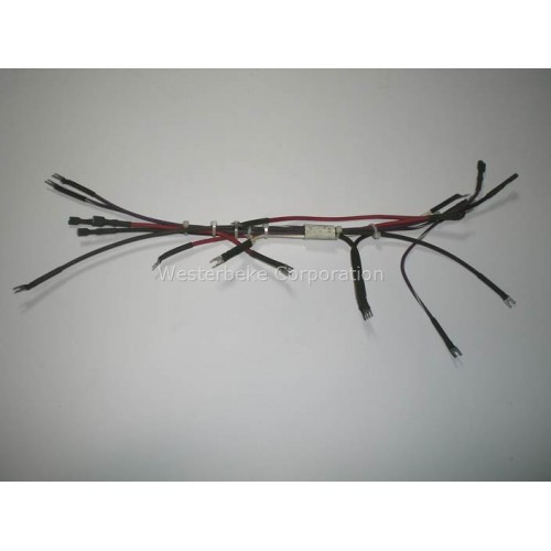 Order WESTERBEKE 40614 Harness, Gen Panel 39111, 41057