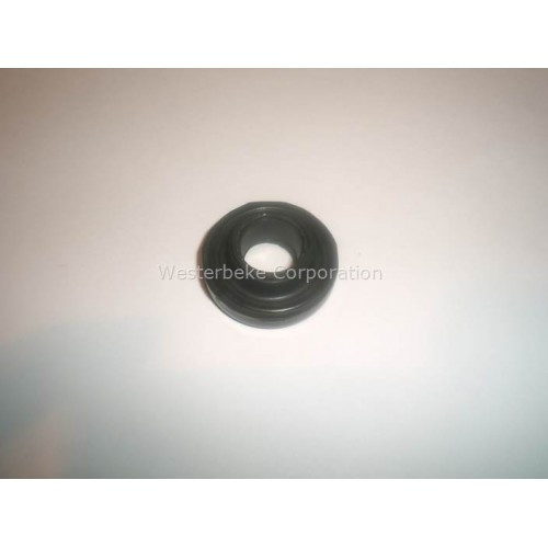 Order WESTERBEKE 48149 Gasket, Rocker Cover Bolt