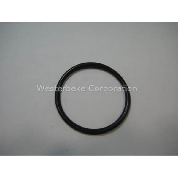 Order WESTERBEKE 48119 Gasket, Oil Pump Shaft Cover