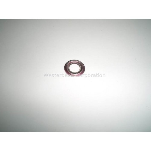 Order WESTERBEKE 41907 Gasket, Injector 55A