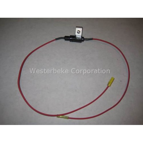 Order WESTERBEKE 43620 Fuse & Holder Assy Bcgtc
