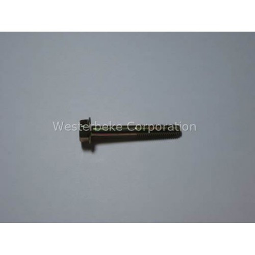 Order WESTERBEKE 38729 Capscrew M 6X45 Jis 6 Flange