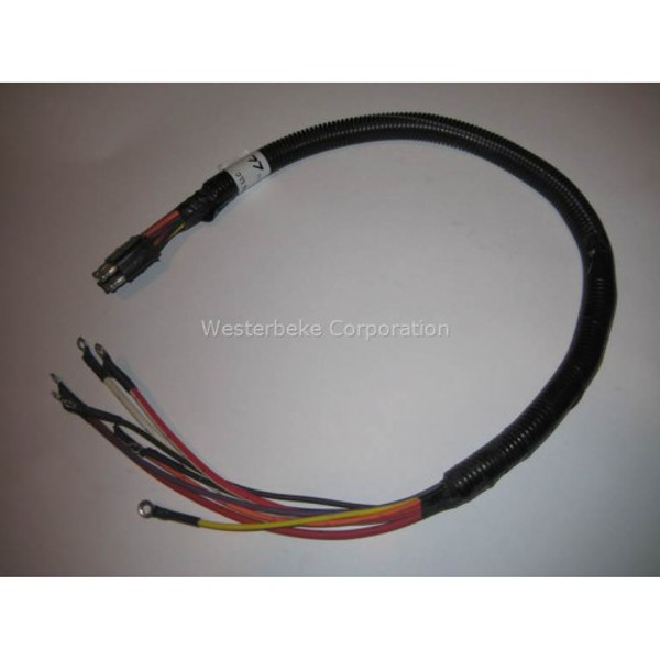 Order WESTERBEKE 30147 Cable, Panel To Engine 22" 8Pin