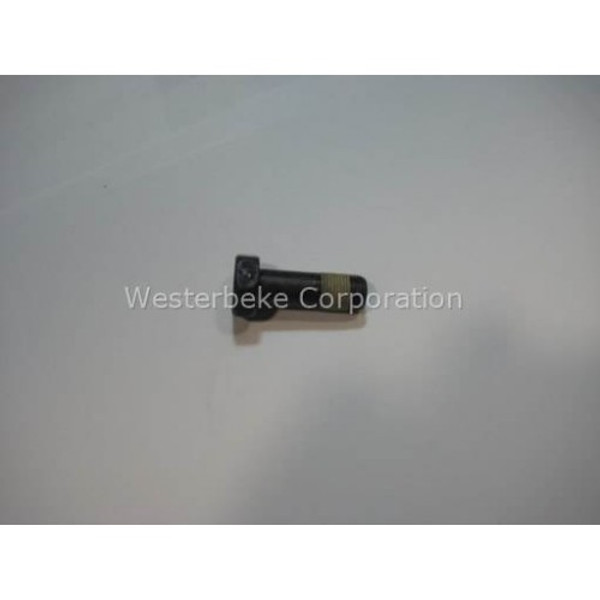 Order WESTERBEKE 40873 Bolt, Flywheel M12X1.00X33 F2