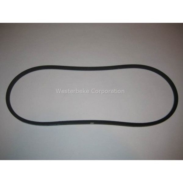 Order WESTERBEKE 36457 Belt 47.3 X A