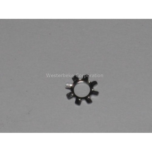 Order WESTERBEKE 31841 Lockwasher 6 Ext Tooth Ss