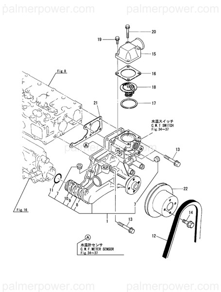 Order YANMAR 119000-42151 Gasket, Water Pump