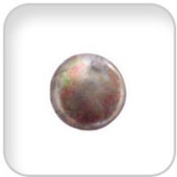 Universal 301200 Plug Expansion