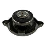 NORTHERN LIGHTS 2112013 Coolant Filler Cap For M30C And M673 Generators