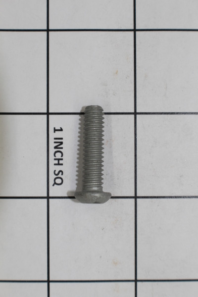 INDMAR 565021Q SCREW SHCS 1/4-20-1 BUTTON SP