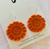 Bright Orange