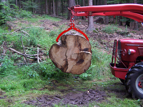 Pinza meccanica per il carico di legname 1000 kg con 3 bracci di presa