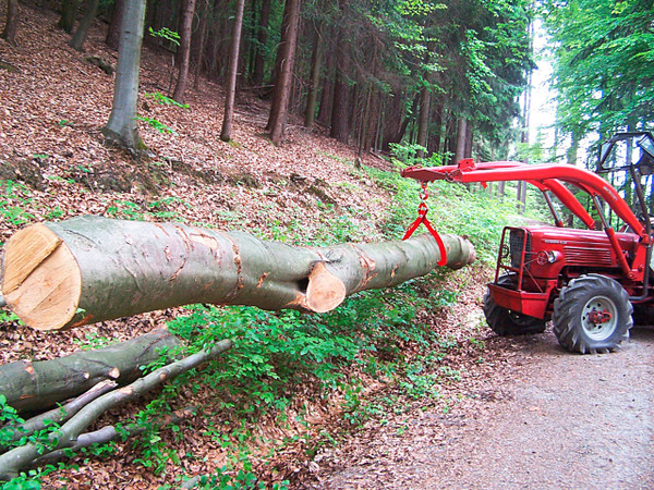 Pinza meccanica per il carico di legname 1000 kg con 3 bracci di presa