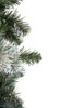 6' Slim Allegheny Pine Unlit Christmas Tree Unlit