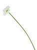 Gerbera Daisy Real Touch White 24" Set of 6 Artificial Stems