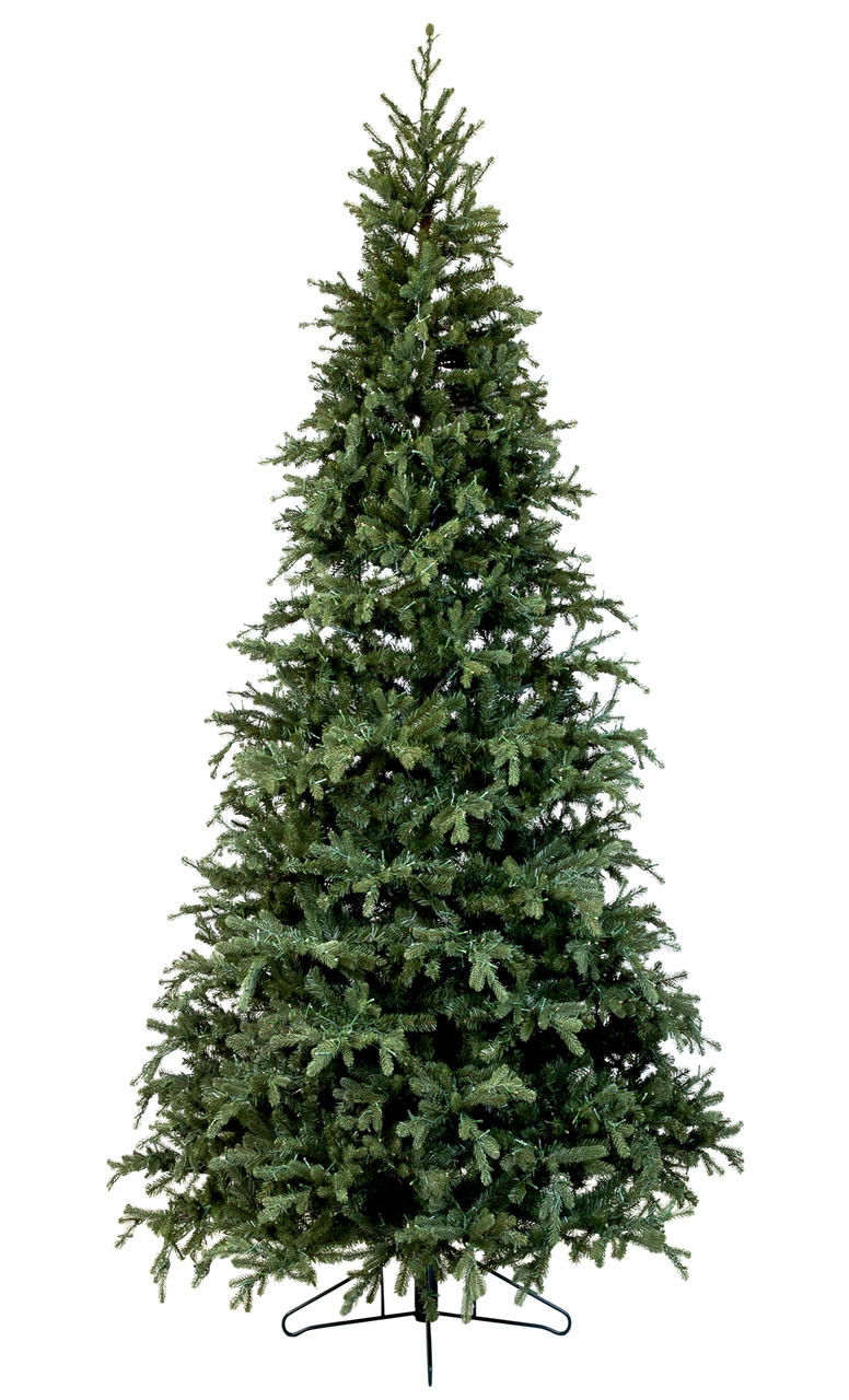 Fresh 5 - 6 ft Fresh-Cut Premium-Grade Fraser Fir Christmas Tree