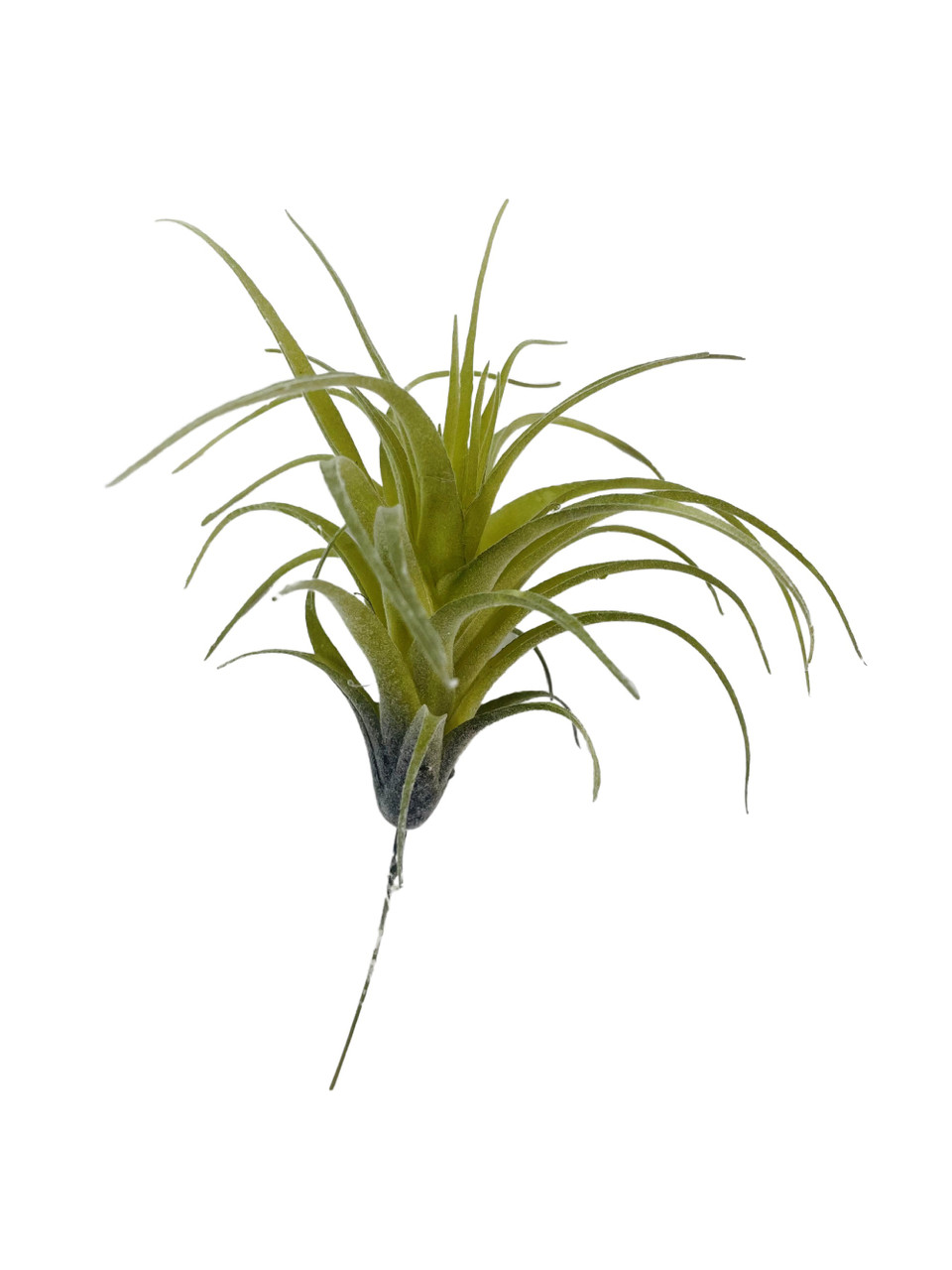 factory sale plastic succulent tillandsia artificial