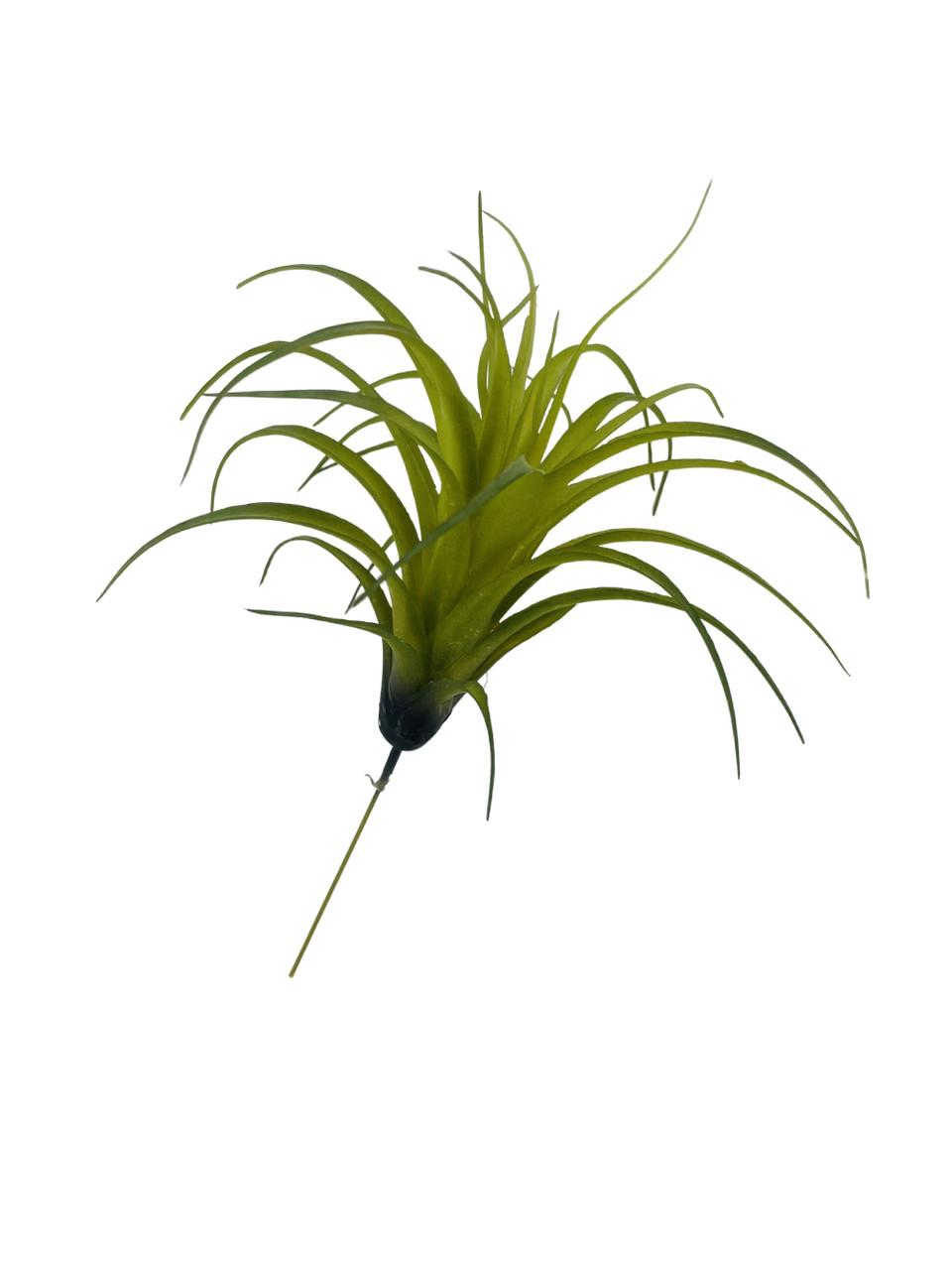 Artificial Air Plant 5in Set of Three Grey Green