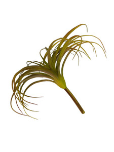 Artificial Air Plant 5in Set of Three Green - Trees n Trends - Home,  Fashion & MORE!