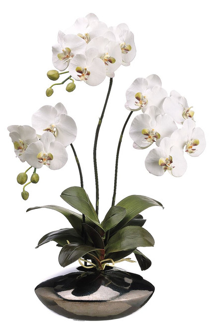 31" Phalaenopsis Orchid Plant in Ceramic Pot White