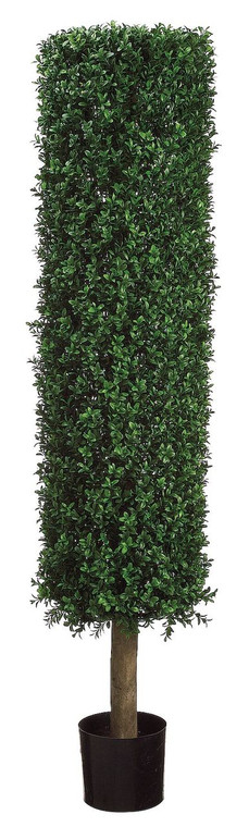 4.5ft Round Boxwood Topiary in Plastic Pot