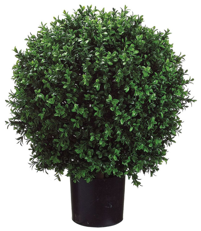 23.5" Ball Shape Boxwood Topiary in Plastic Pot Set of 2