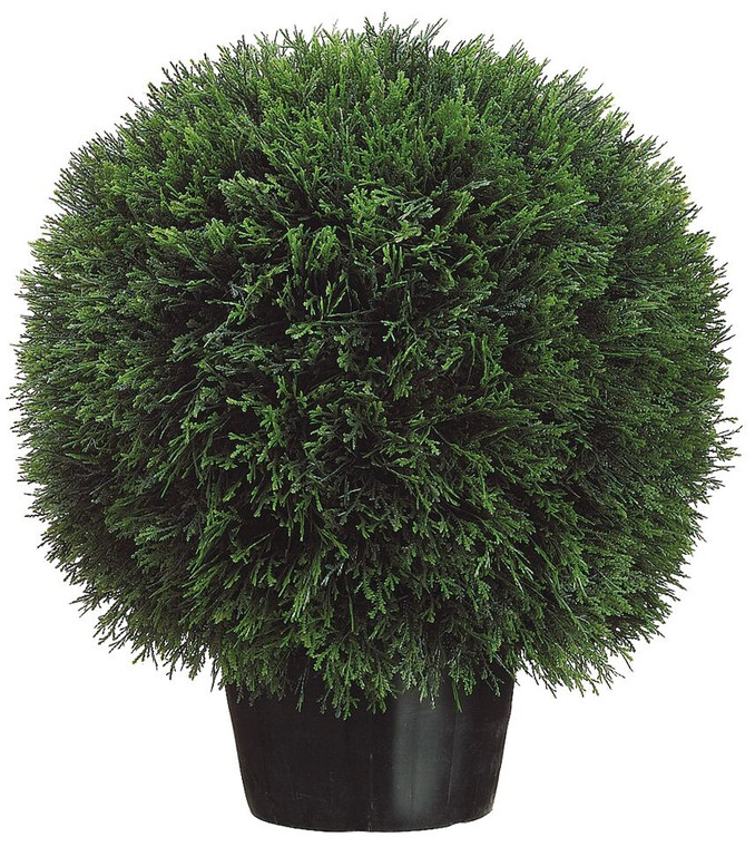 20" Cedar Ball Topiary in Pot