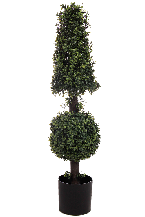 Big cone shaped topiary tree on transparent background 17296576 PNG