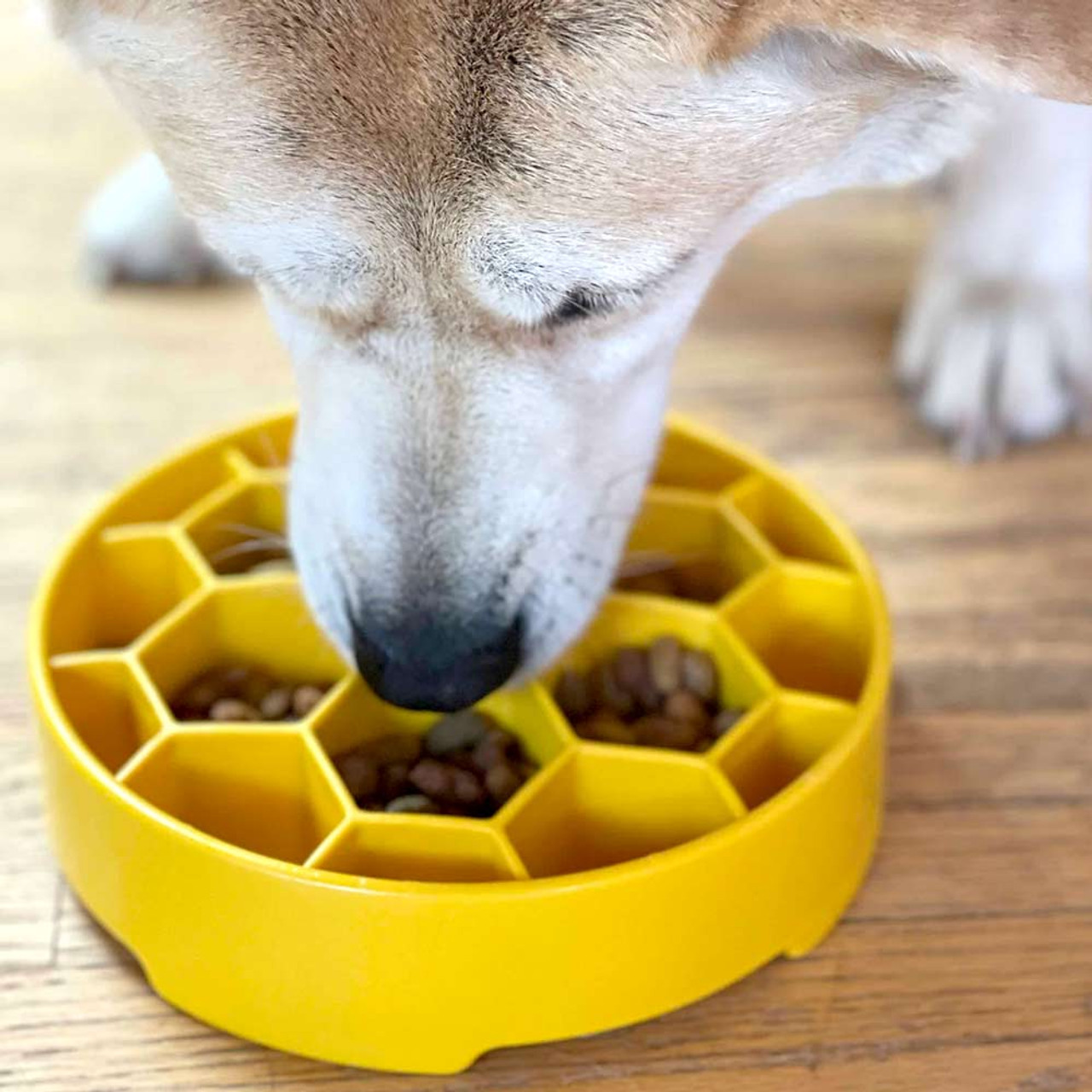 SODA PUP, Mandala Flower Slow Feeder Bowl for Dogs & Cats