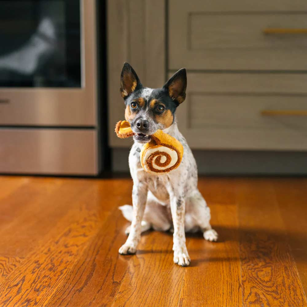 Cinnabone Mini Plush Dog Toy | Non toxic