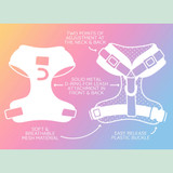 Adjustable breathable dog harness with double D-rings for leash and no-pull