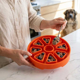 Citrus pattern enrichment feeding tray for wet food, kibble, purees, and frozen meals