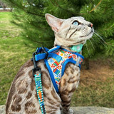Cat Leash 6ft - Portofino