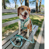 Dog Waste Bag Holder - Peanuts Road Tripping