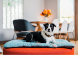 Coastal Chill Pad Mat for dogs and cats