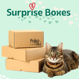 Surprise Boxes for cats, sustainable cat toys
