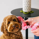 recycled plastic dog toy