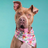 adorable floral pet bandana for big dogs