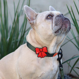 Red ribbon charm for dog collars