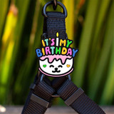 Birthday Dog Charm