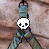 Skull dog charm for the collar