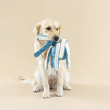 Octopus Earth-friendly Dog Toy