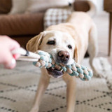 EcoZippy Cotton and Jute Tug - Dog Toy EcoZippy Cotton and Jute Tug - Dog Toy